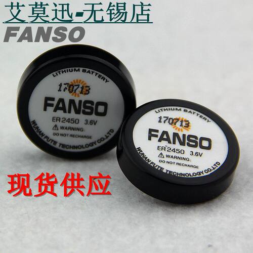 FANSO 孚安特扣式电池ER2450 3.6V 胎压电池税控机电池TLH-2450