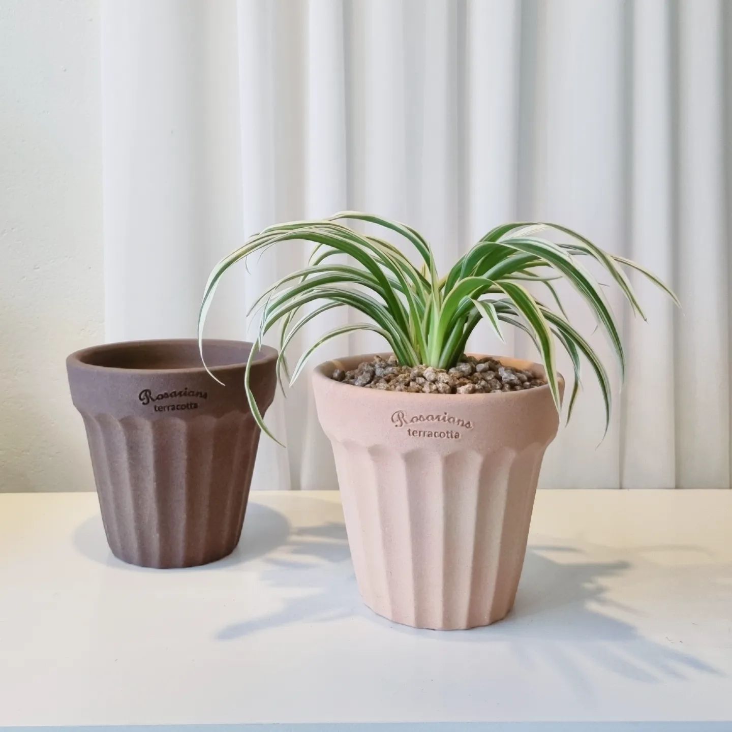 TeeUM陶土透气排水韩国花盆原创