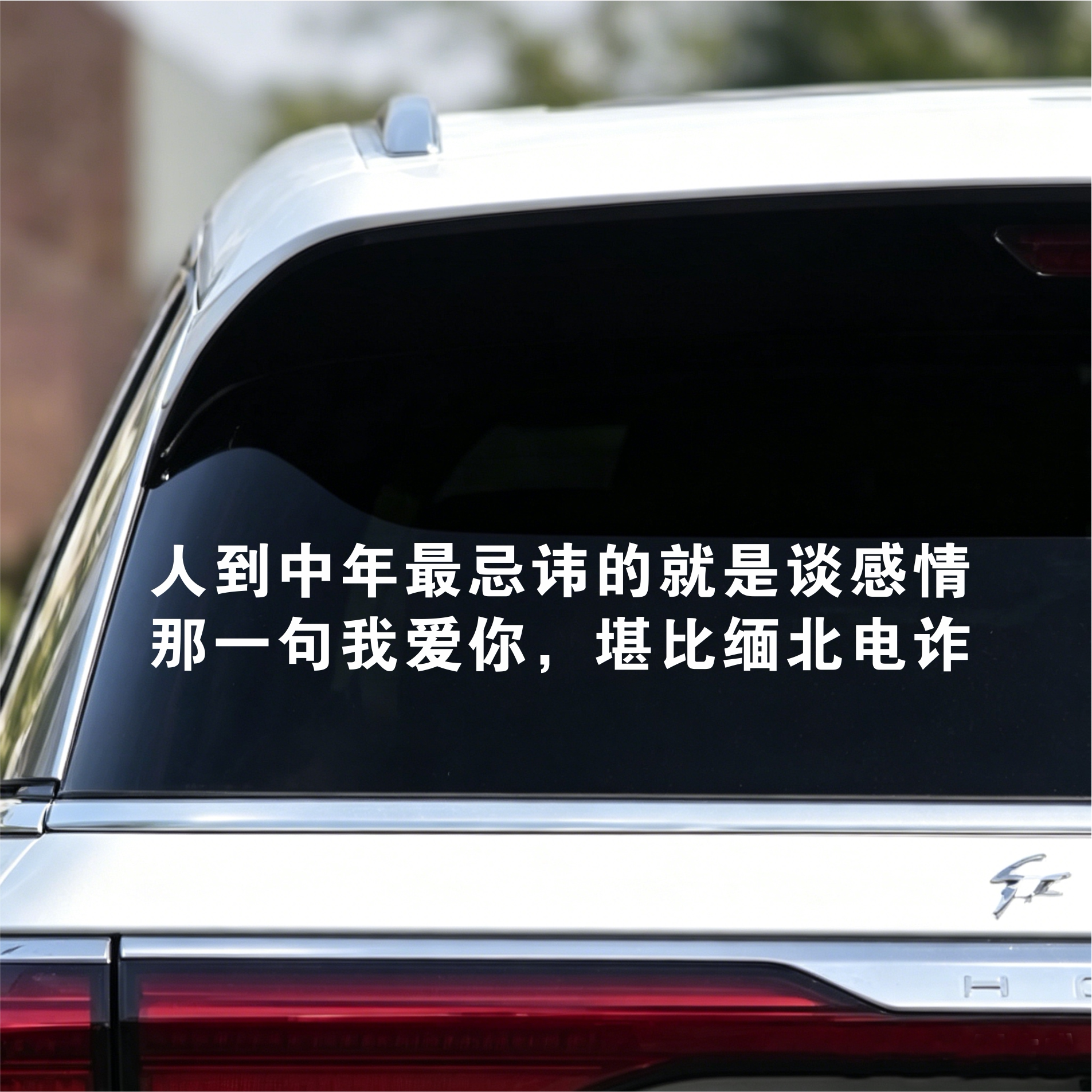 人到中年最忌讳谈感情堪比缅北电诈汽车个性文字车窗车身贴纸车贴