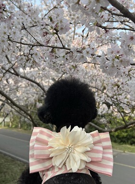 ins韩国粉条纹透气胸背套装泰迪比熊狗狗外出遛狗牵引绳宠物用品