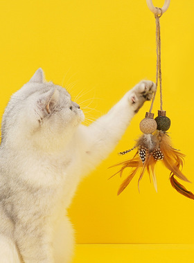 zeze猫薄荷球猫咪磨牙棒洁齿猫玩具自嗨逗猫棒耐咬木天蓼猫咪用品