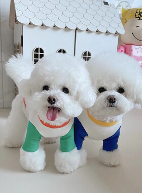 ins韩国狗衣服秋冬内搭拼色短袖T可爱全棉户外外出打底衫宠物用品