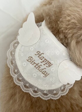 ins韩国可爱天使狗狗生日派对花边翅膀围兜猫咪口水巾宠物用品
