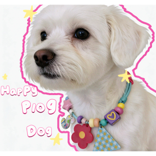 ins泰国网红DIY原创夜光项圈挂牌挂饰春夏猫狗装 饰遛狗宠物用品