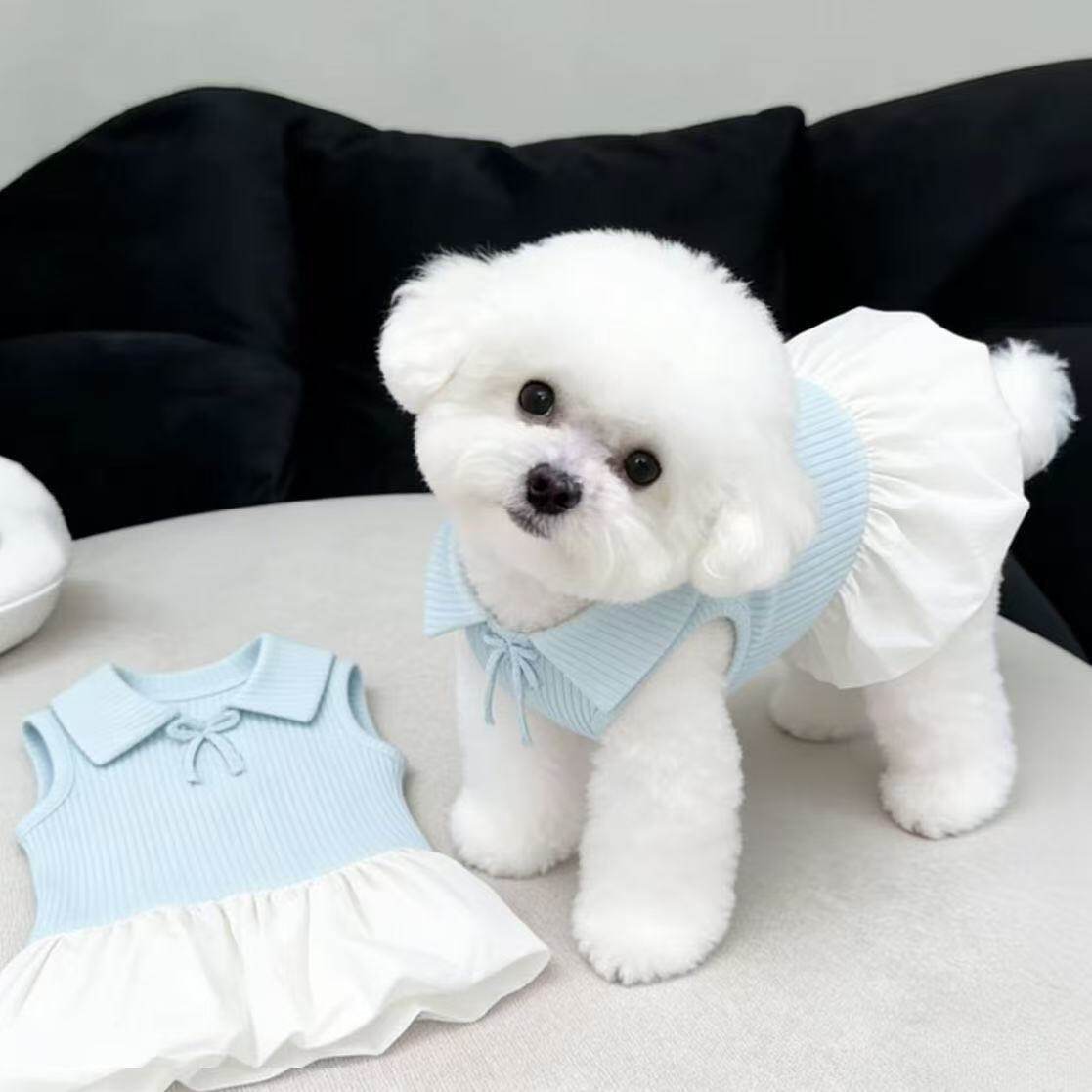 夏季薄款猫狗polo领连衣裙小型犬
