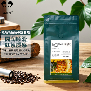 英卓锐原产地单品咖啡危地马拉帕卡斯日晒精品咖啡豆227g中度手冲