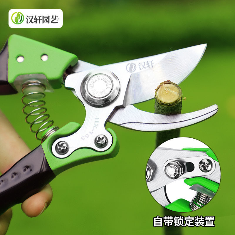 汉轩修枝剪园林园艺剪花树枝剪刀修枝剪果树植物粗枝修花艺剪工具_虎窝淘