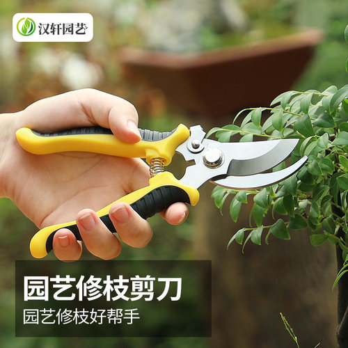 汉轩园林园艺艺剪花树枝剪刀