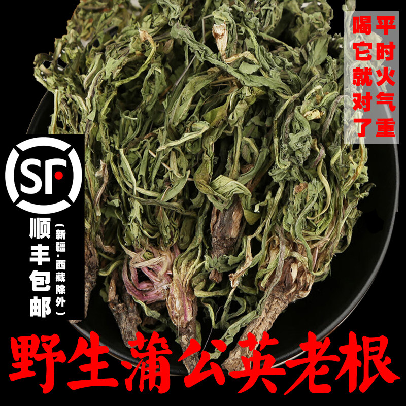 苗岭野生蒲公英根天然婆婆