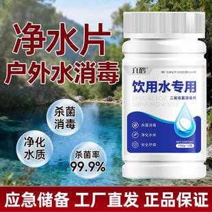 户外饮用水消毒片六鹤水井野外生存净水片应急储备工厂直发新日期