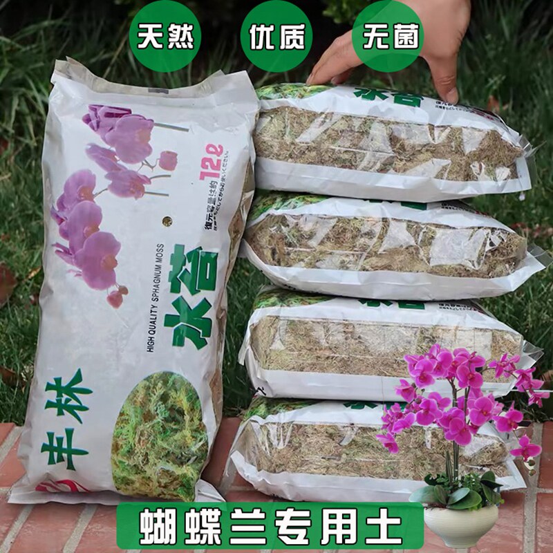 蝴蝶兰专用水苔苔藓兰花专用土兰科基质介质爬宠可用新鲜纯天然