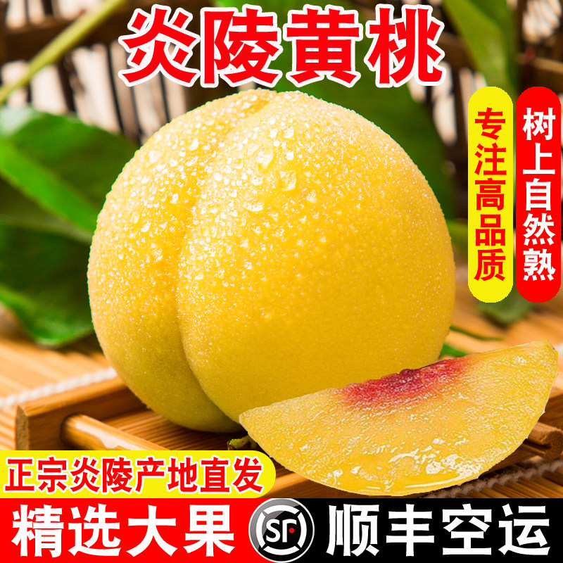 【官方推荐】正宗炎陵黄桃顺丰
