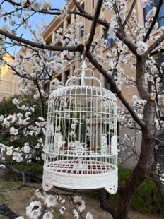 ABS塑钢小鸟笼绣眼笼珍珠鸟笼黄雀鸟笼芙蓉鸟笼圆笼洗澡笼