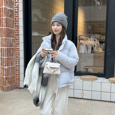 2025新国标95白鸭绒立领2.0升级款加厚保暖短款羽绒服女小个子