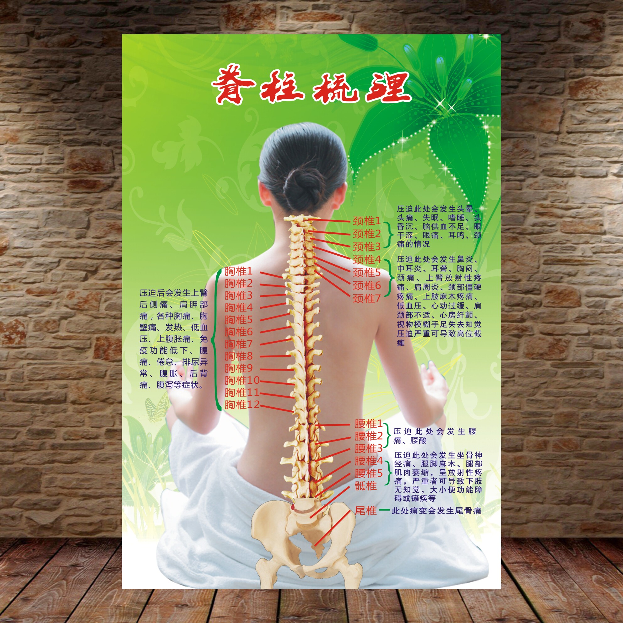 脊柱相关疾病脊椎梳理人体经络穴位图大挂美容院中医养生调理海报