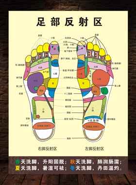 人体足部反射区挂图泡脚足底按摩穴位图足疗脚底中医养生海报