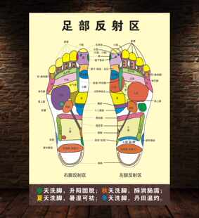 人体足部反射区挂图泡脚足底按摩穴位图足疗脚底中医养生海报