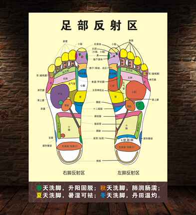 人体足部反射区挂图泡脚足底按摩穴位图足疗脚底中医养生海报