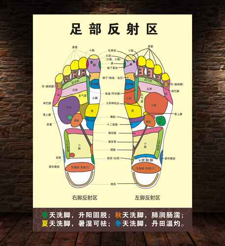 人体足部反射区挂图泡脚足底按摩穴位图足疗脚底中医养生海报