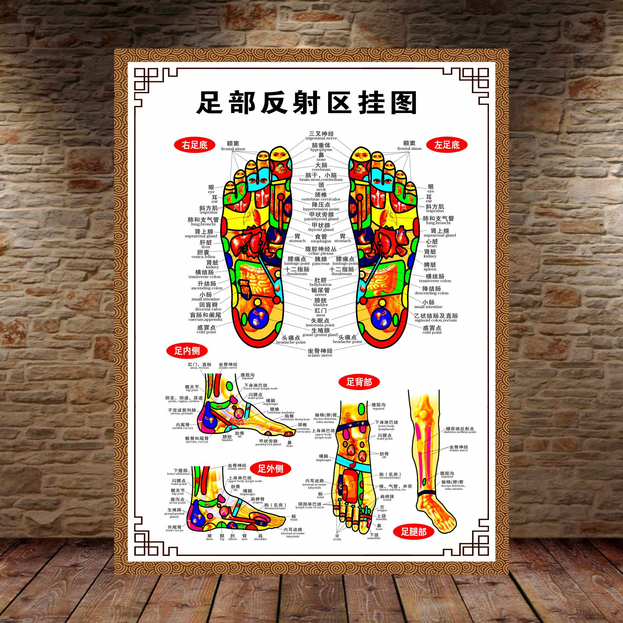 手部反射区健康疗法挂图耳部足部足疗经络穴位图中医养生海报