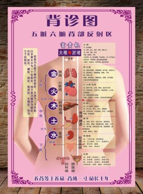 定制背诊图美容院海报五脏六腑区