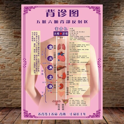 定制背诊图美容院中医养生馆宣传贴画五脏六腑背部反射区自粘海报