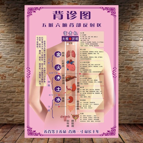 定制背诊图美容院中医养生馆宣传贴画五脏六腑背部反射区自粘海报 - 封面