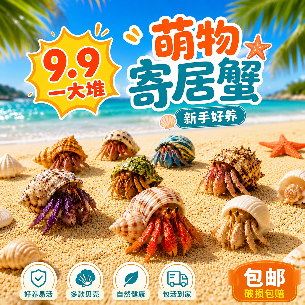 小豆丁陆生寄居蟹观赏蟹活物饲养造景套装好养易活螃蟹桌面萌宠蟹