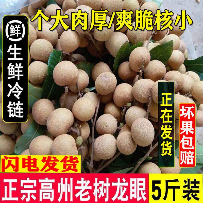 龙眼新鲜广东茂名特大现摘现发储良石硖老树桂圆当季水果冷链包邮