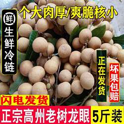 龙眼新鲜广东茂名特大现摘现发储良石硖老树桂圆当季水果冷链包邮