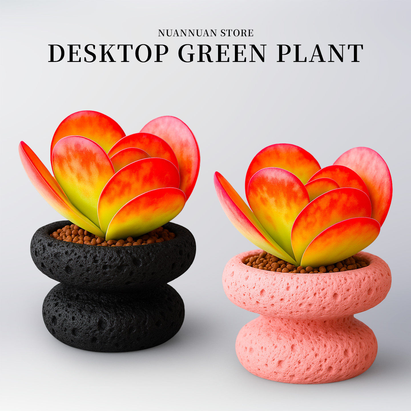 唐印多肉植物稀有品种老庄大颗多头超大盆栽花卉绿植办公室内