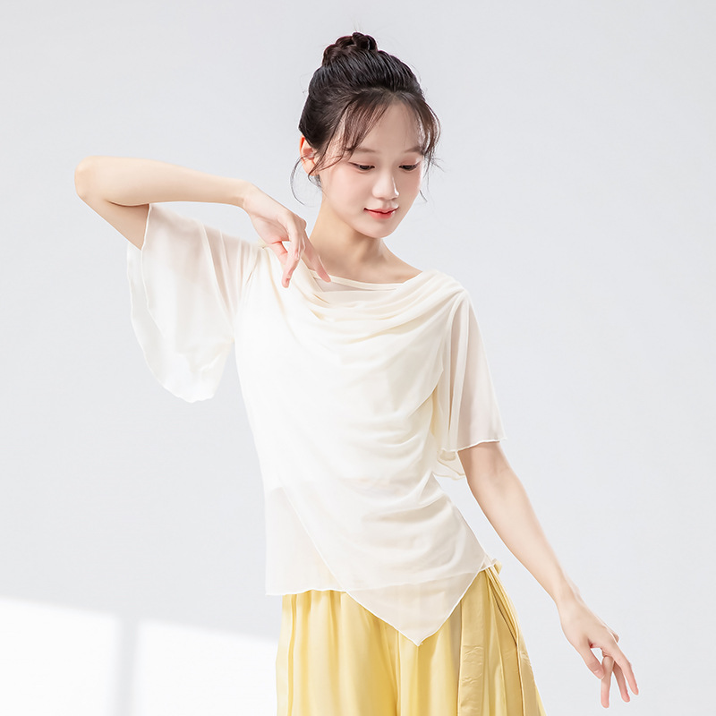 花朵网纱成人古典舞上衣