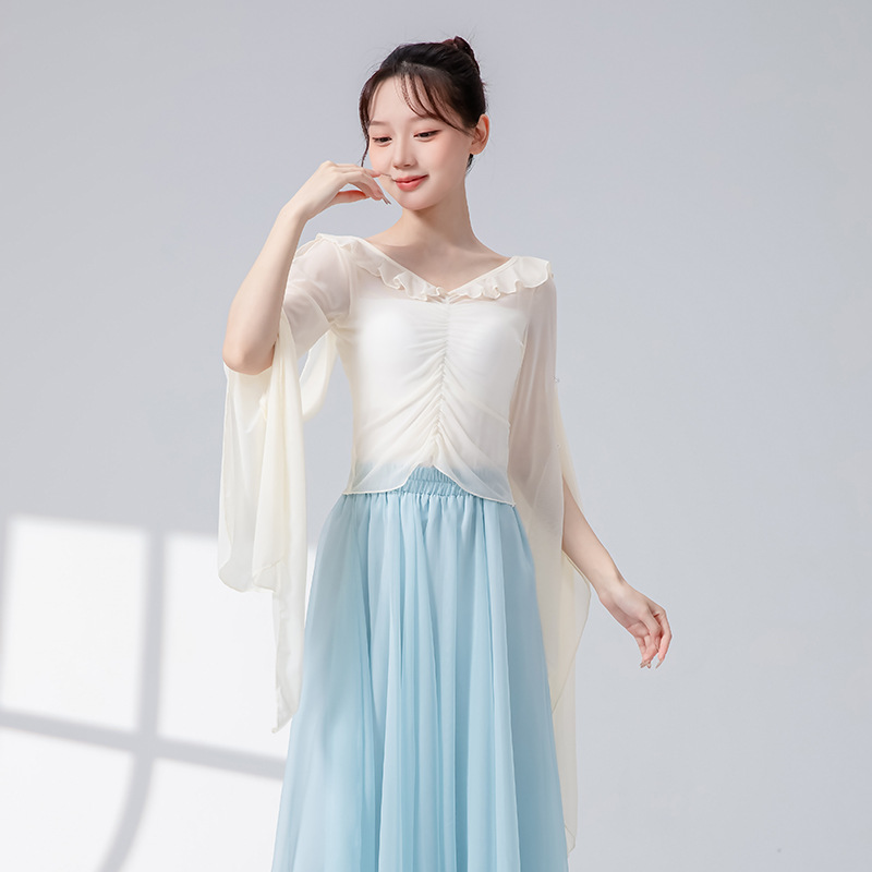 成人飘逸网纱古典舞服