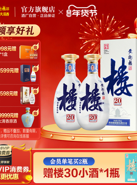 【快递不停运】黄鹤楼酒 南派大清香楼20 53度500mL*2瓶 商务送礼