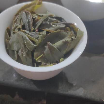 雾峰6号 安溪铁观音茶叶正味兰花香2026新茶春茶500g