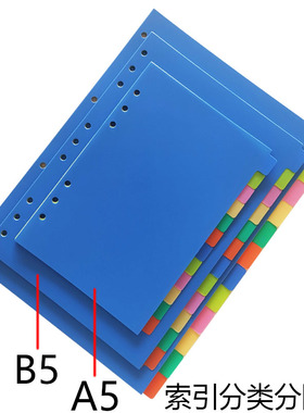 A4B5A5彩色塑料分隔页12张活页本索引分页纸6孔磨砂分类卡可定制