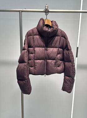 艾诺丝原装正品2025年冬款白鸭绒立领廓形羽绒服宽松外套AR004143