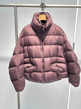 艾诺丝原装正品2025年冬季新款百搭时尚立领休闲羽绒服女AR004141