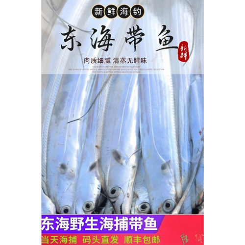 东海海钓带鱼半斤一条清蒸