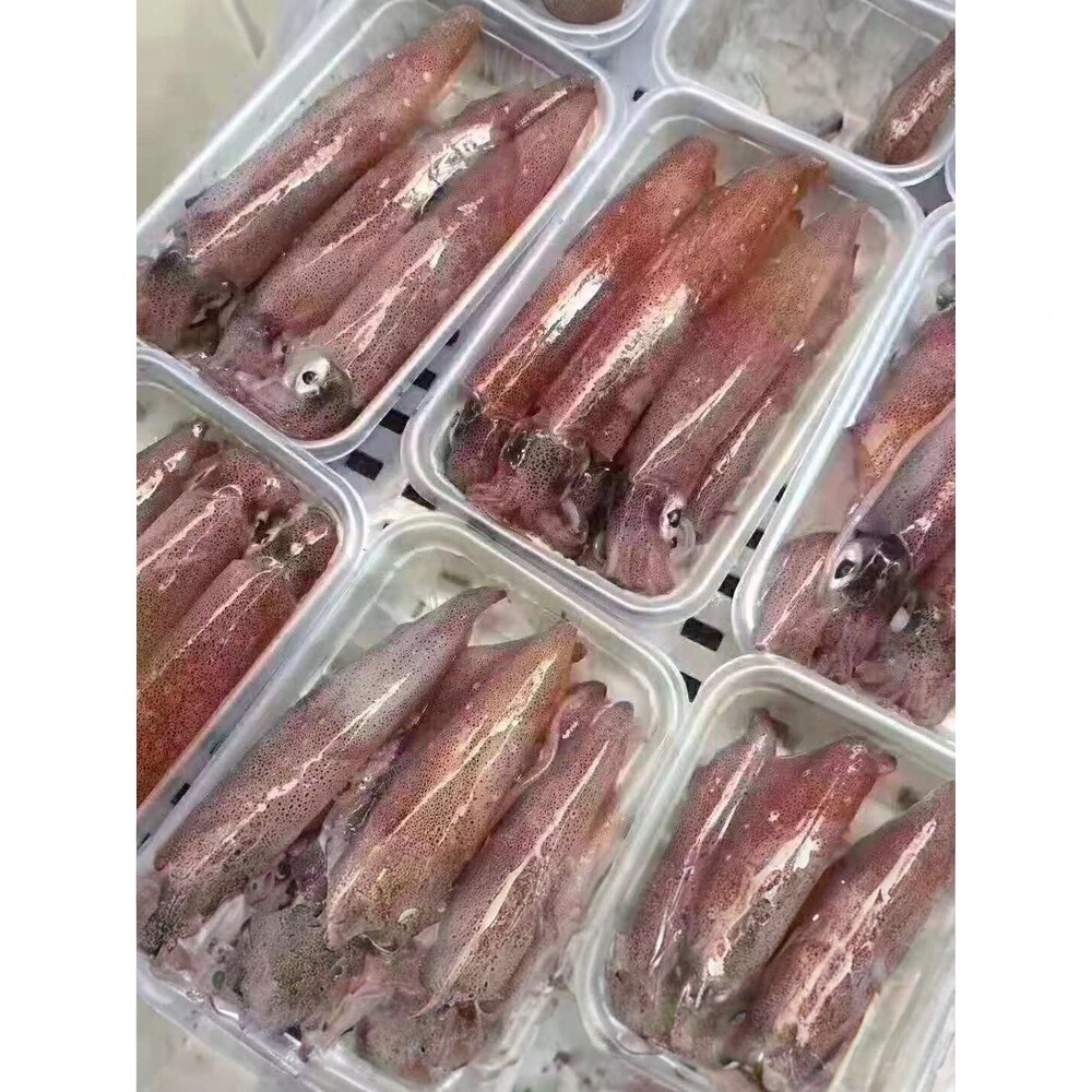 福建连江海鲜冷冻鱿鱼母管400g 带饭母管有籽小管灯照3件顺丰包邮