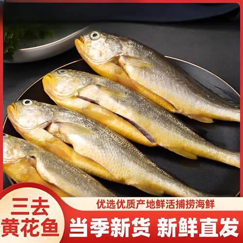 [已三去]黄花鱼新鲜冷冻免杀免洗大黄鱼海鲜水产宁德深海大黄鱼