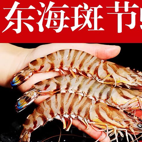 15-20只一斤大斑节虾两件包邮
