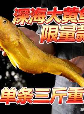 野化大黄鱼3斤礼盒冷冻顺丰