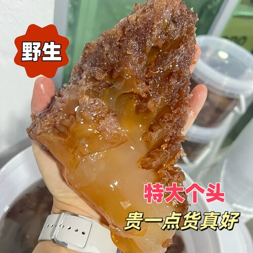 福建特产野生正宗大号海蜇头非即食凉拌海蜇头3.9斤/桶包邮商用