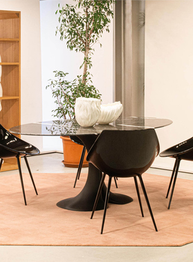 Driade 意大利进口 Didymos 大理石餐桌椭圆形美人鱼尾桌平行