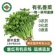 时令有机香菜500g新鲜有机蔬菜火锅配菜顺丰 继红有机农场 包邮