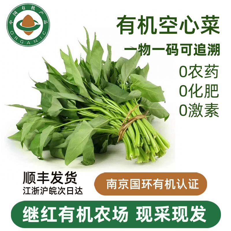 继红农场新鲜有机空心菜