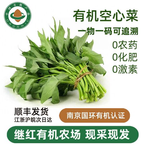 继红农场新鲜有机空心菜