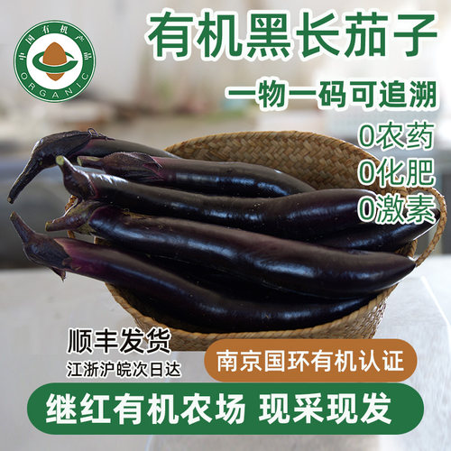 有机农场直发有机黑长茄子