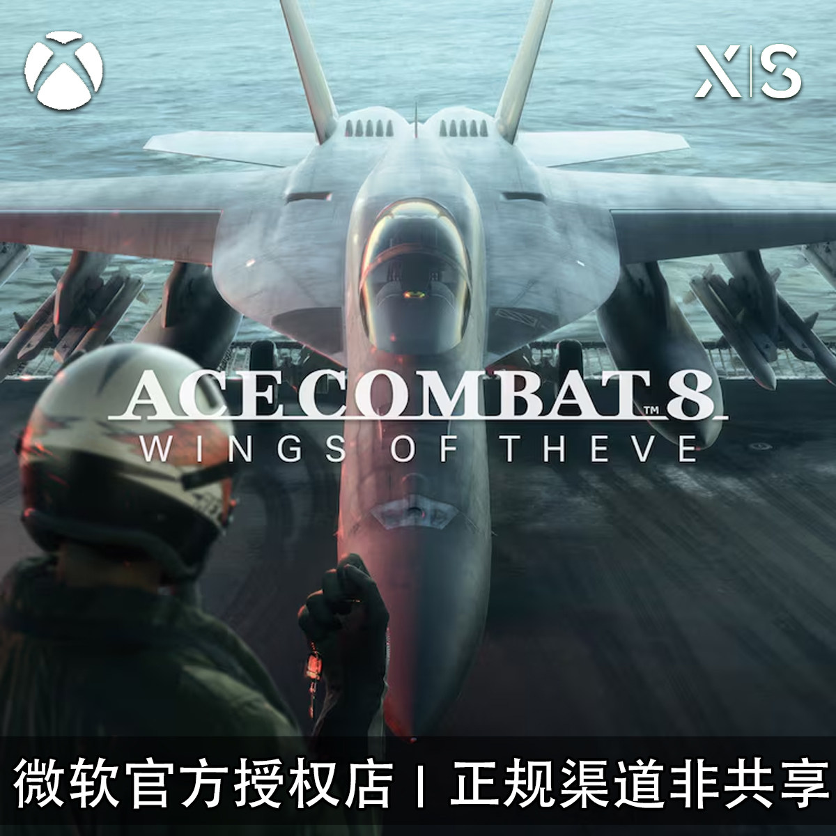XBOX游戏皇牌空战8希孚之翼